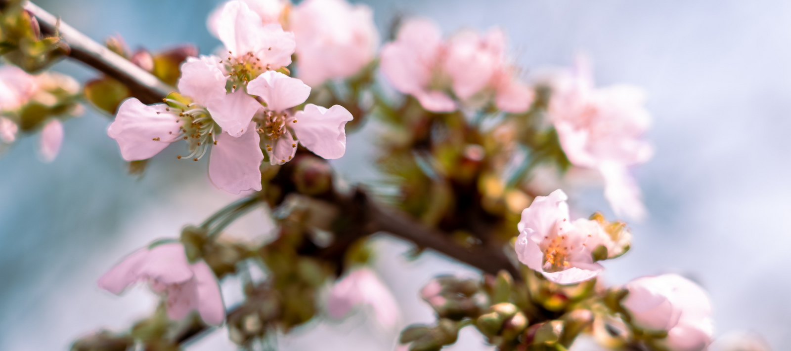 Prêt pour le printemps?